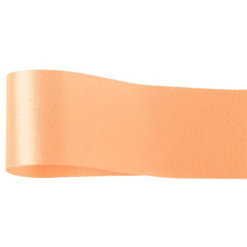 青山 リボン カスタムサテン 1301 22×92 #31 1巻(ご注文単位1巻)【直送品】