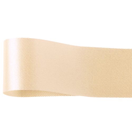 青山 リボン カスタムサテン 1301 22×92 #61 1巻(ご注文単位1巻)【直送品】