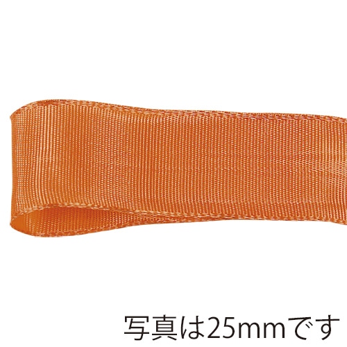 青山 リボン イクシーズ 1468 40×12 #53 1巻(ご注文単位1巻)【直送品】