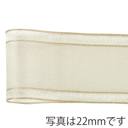 青山 リボン　ルーズエッジオーガンジー　1459 38×18 #19 1巻（ご注文単位1巻）【直送品】