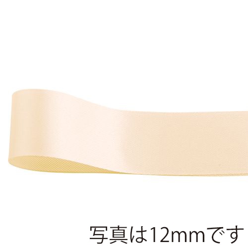 青山 リボン　プリンセスサテン　0587 19×50 ＃61 1巻（ご注文単位1巻）【直送品】