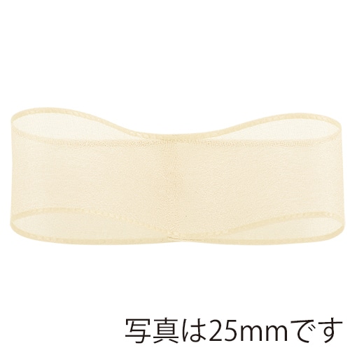 青山 リボン　パールオーガンジー　9762 8×30 #19 1巻（ご注文単位1巻）【直送品】