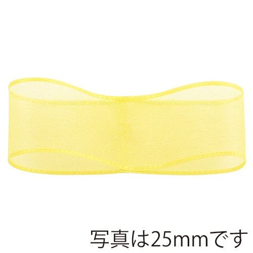 青山 リボン　パールオーガンジー　9763 15×30 #03 1巻（ご注文単位1巻）【直送品】