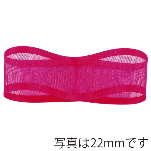 青山 リボン　シェアーサテン　0218 10×30 #15 1巻（ご注文単位1巻）【直送品】