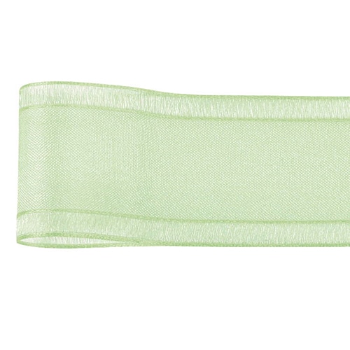 青山 リボン　ルーズエッジオーガンジー　0395 22×30 #76 1巻（ご注文単位1巻）【直送品】