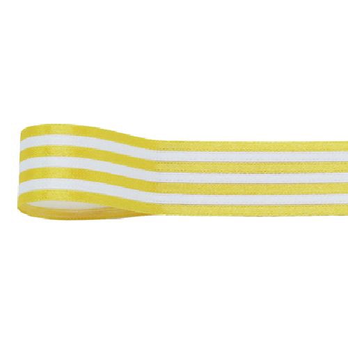 青山 リボン　ニューボーダーライン　0517 21×20 #03 1巻（ご注文単位1巻）【直送品】