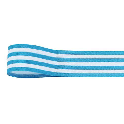 青山 リボン ニューボーダーライン 0517 21×20 #611 1巻(ご注文単位1巻)【直送品】