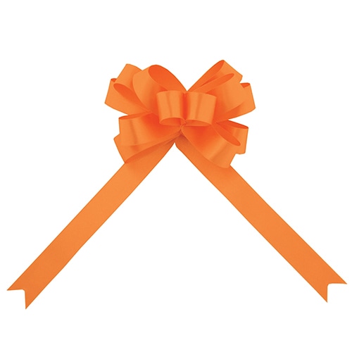 青山 ブーケボウ スイフトコルダ 2350 25mm #43 1箱(ご注文単位1箱)【直送品】