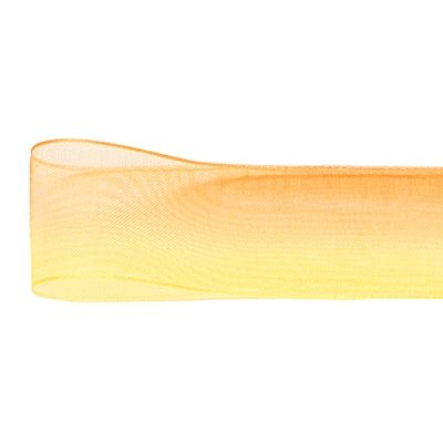 青山 リボン　ライトオンブレ　0636 30×23 #43 1巻（ご注文単位1巻）【直送品】