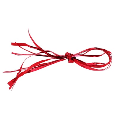 青山 リボン コード キャンキャン 2113 10×100 #16 1巻(ご注文単位1巻)【直送品】