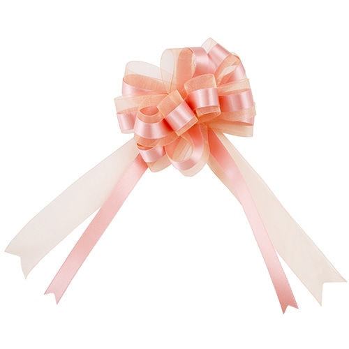 青山 ブーケボウ サテンオーガンジー 2332 32mm #24 1巻(ご注文単位1巻)【直送品】