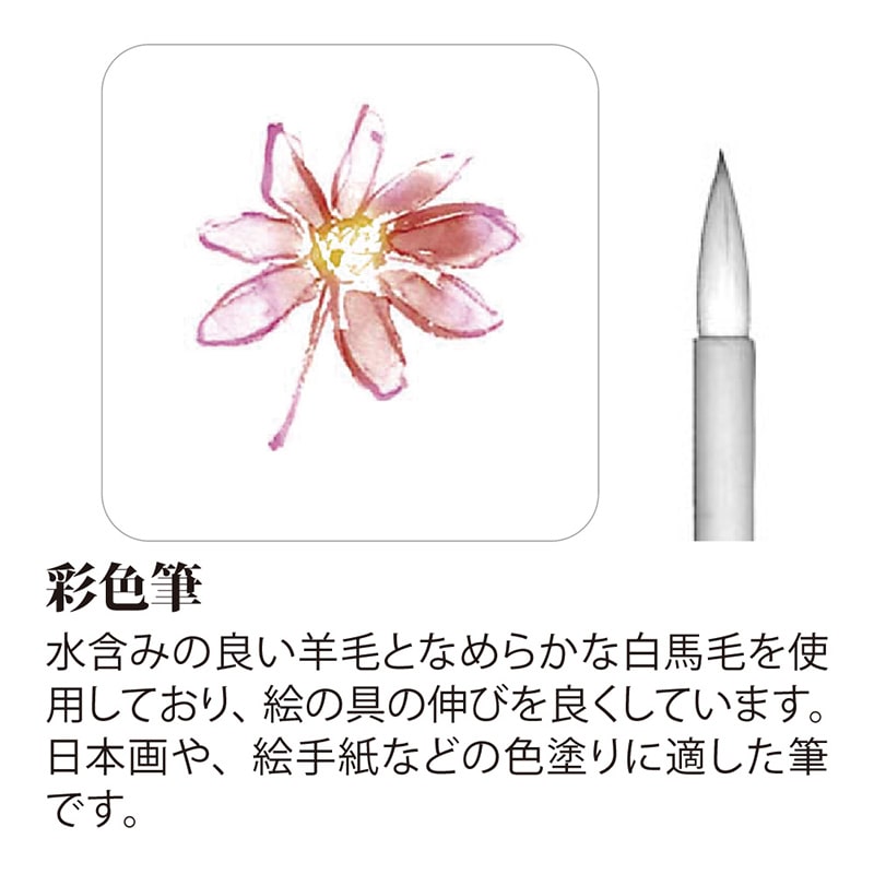 あかしや 細筆 絵手紙入門筆 3本組 PN/3VS 1組(ご注文単位5組)【直送品】