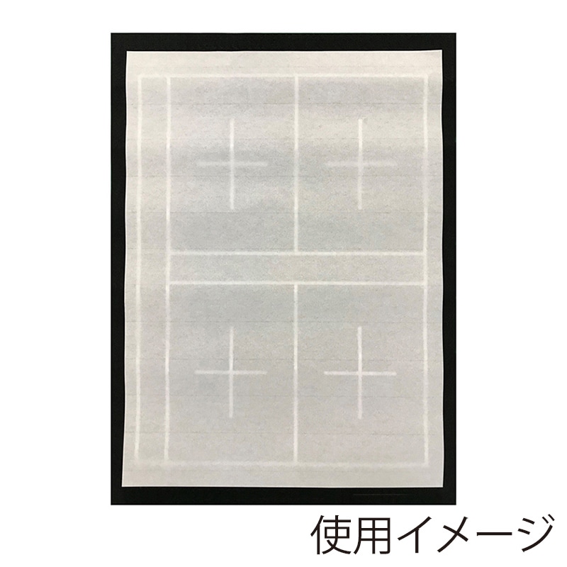 あかしや 下敷 規格判 4マス/6マス入り AE-07 1個(ご注文単位5個)【直送品】