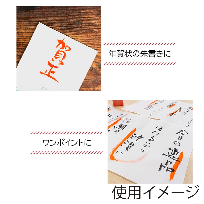 あかしやあかしや朱液 100ml AB-09R 1本(ご注文単位6本)【直送品】