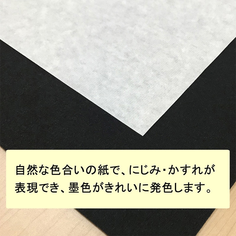 あかしや 半切画仙紙 湖山 10枚入り AO-70H 1冊(ご注文単位5冊)【直送品】