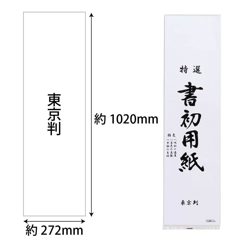 あかしや 書初め用紙 東京判 20枚入り AO-50K-TK 1冊(ご注文単位5冊)【直送品】