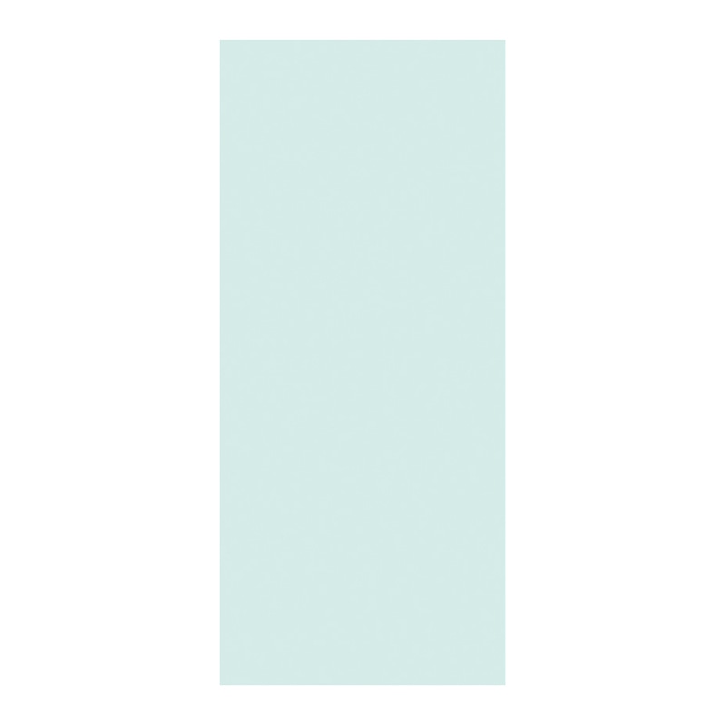 チキュウグリーティングス BPS名札カード  BPS-65 1束（ご注文単位1束）【直送品】