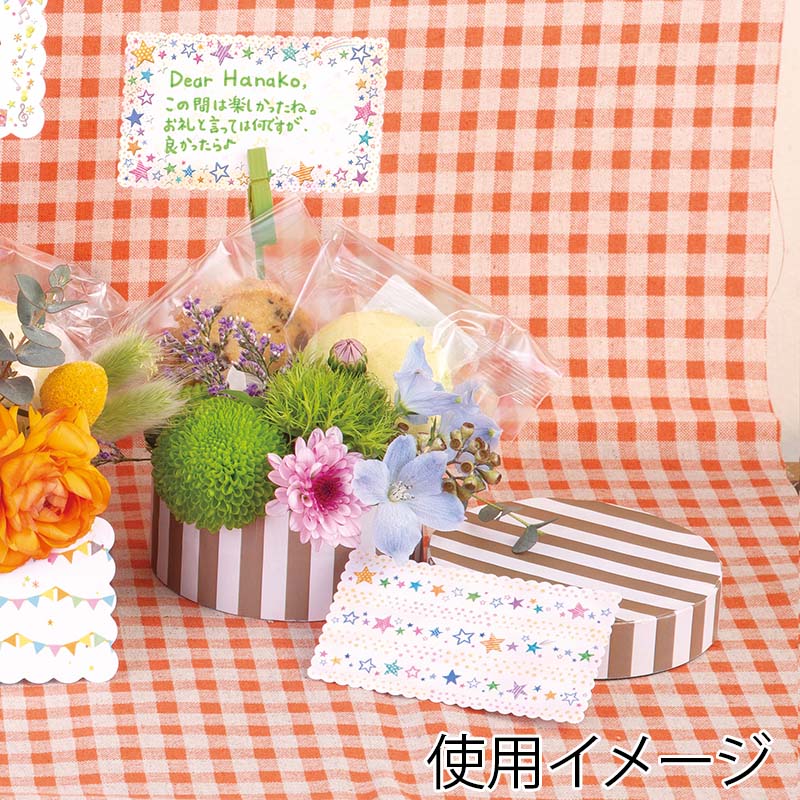 チキュウグリーティングス ミニギフトカード  DG-013 1束（ご注文単位1束）【直送品】