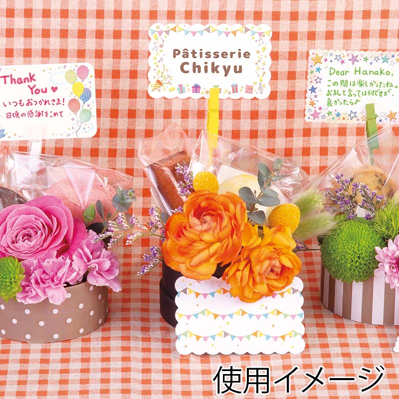 チキュウグリーティングス ミニギフトカード  DG-015 1束（ご注文単位1束）【直送品】