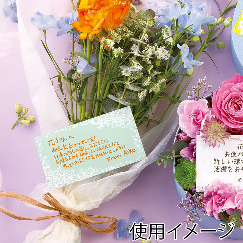 チキュウグリーティングス ギフトカード G-342 1束(ご注文単位1束)【直送品】