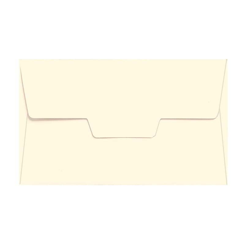 チキュウグリーティングス ギフトカード用封筒  GE-08 100枚/束（ご注文単位1束）【直送品】
