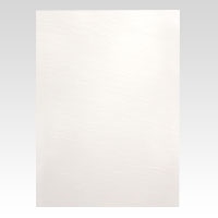 ジャパンアート ニューカラーボード 5mm厚　A2　ホワイト BP-5CB-A2-WH 1枚（ご注文単位1枚）【直送品】