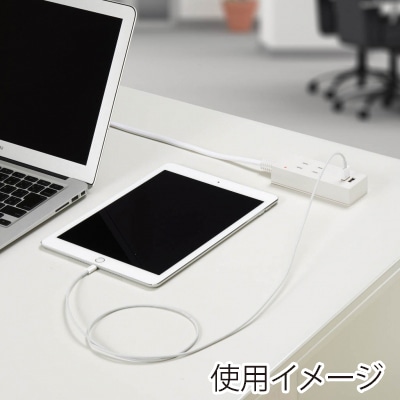 ヤザワコーポレーション 雷ガード付2AC+2USB 2.1A 2.5m ホワイト Y02K4025WH2U 1個(ご注文単位1個)【直送品】