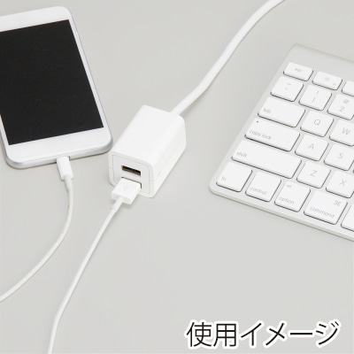 ヤザワコーポレーション コード付きUSBタップ 2ポート2.4A 0.5m ホワイト H720052UWH 1個(ご注文単位1個)【直送品】