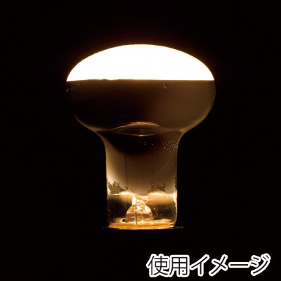 ヤザワコーポレーション 白熱電球 レフ形白熱ランプ RF100V38W 1個(ご注文単位1個)【直送品】