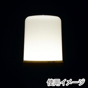 ヤザワコーポレーション T形LED電球 全方向タイプ 40W形相当 E17 昼白色 LDT5NGE17 1個(ご注文単位1個)【直送品】