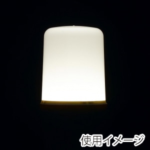 ヤザワコーポレーション T形LED電球 全方向タイプ 60W形相当 E17 昼白色 LDT8NGE17 1個(ご注文単位1個)【直送品】