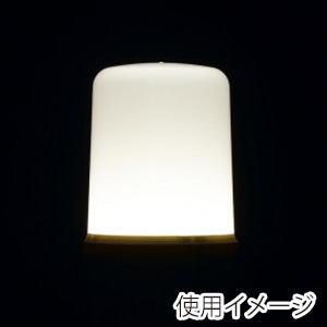 ヤザワコーポレーション T形LED電球 全方向タイプ 40W形相当 E26 昼白色 LDT5NG 1個(ご注文単位1個)【直送品】