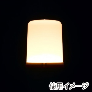 ヤザワコーポレーション T形LED電球 全方向タイプ 60W形相当 E26 電球色 LDT8LG 1個(ご注文単位1個)【直送品】