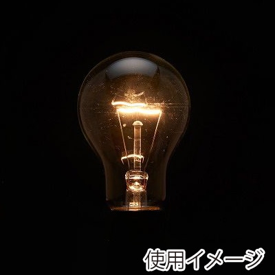 ヤザワコーポレーション 白熱電球 長寿命クリア 40W形 L100V40WCL 1個(ご注文単位1個)【直送品】