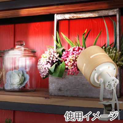 ヤザワコーポレーション ウッドセードクリップライト ナチュラル CLX60X01NA 1個(ご注文単位1個)【直送品】