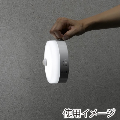 ヤザワコーポレーション 充電式ミニシーリングライト 60形相当 昼光色 CELMS60D02 1個(ご注文単位1個)【直送品】