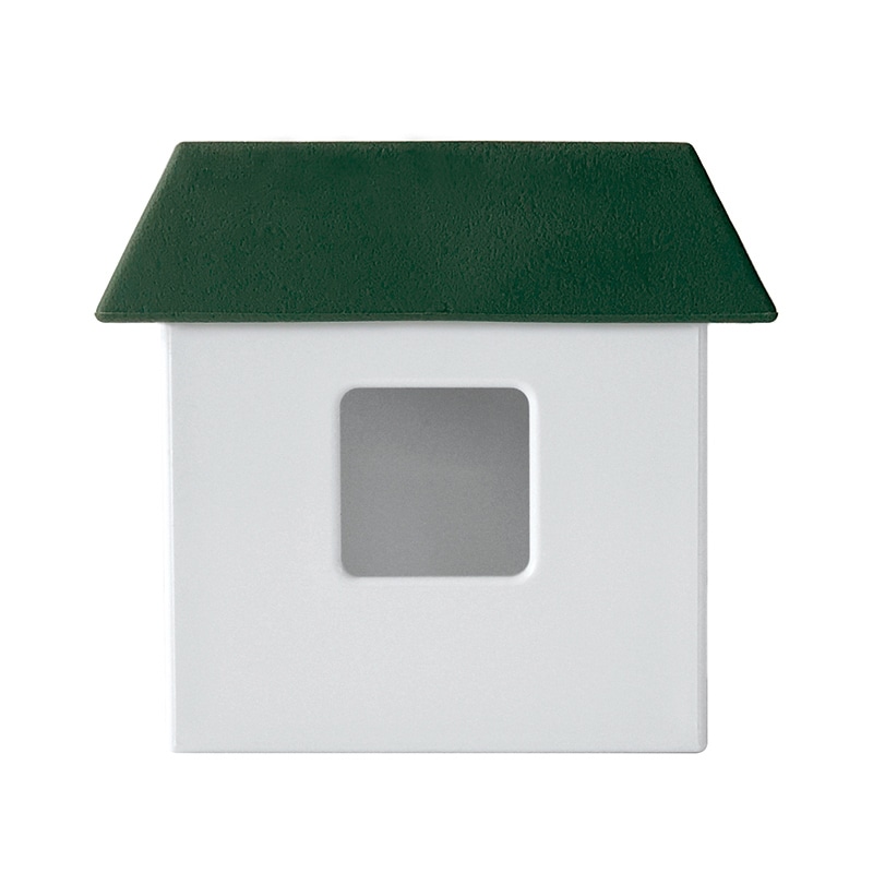 エバーグリーン