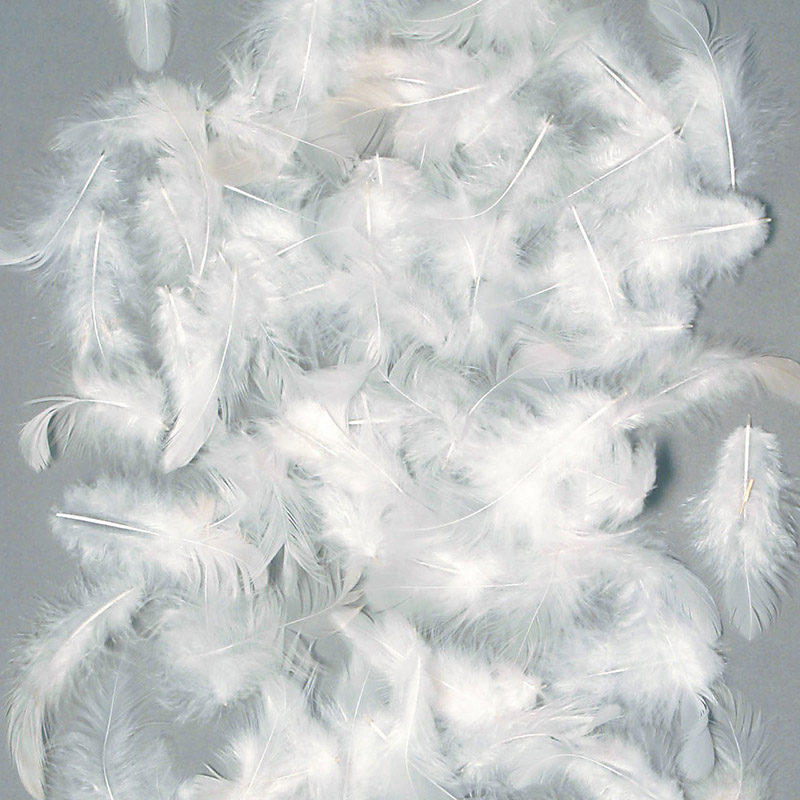 東京堂 デコレーションパーツ 羽 チキン FU000114 1袋(ご注文単位1袋)【直送品】