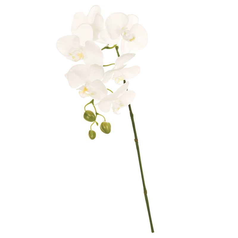 東京堂 造花 カレンファレノ FM3663 ホワイト 1本(ご注文単位1本)【直送品】