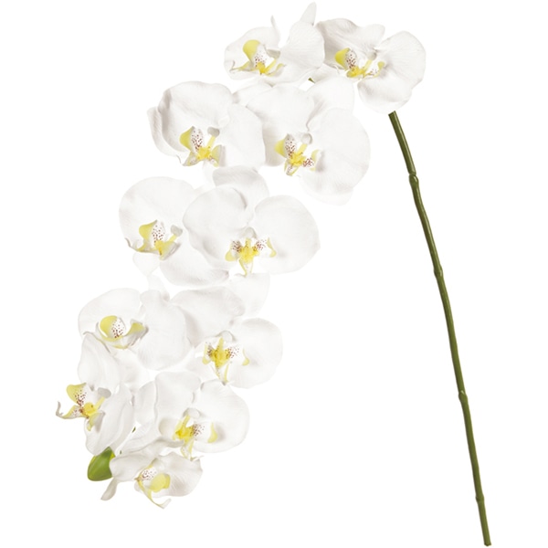 東京堂 造花 ピュアファレノプルミエール L FM5830 ホワイト 1本(ご注文単位1本)【直送品】