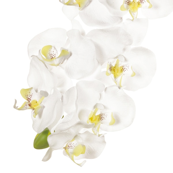 東京堂 造花 ピュアファレノプルミエール L FM5830 ホワイト 1本(ご注文単位1本)【直送品】