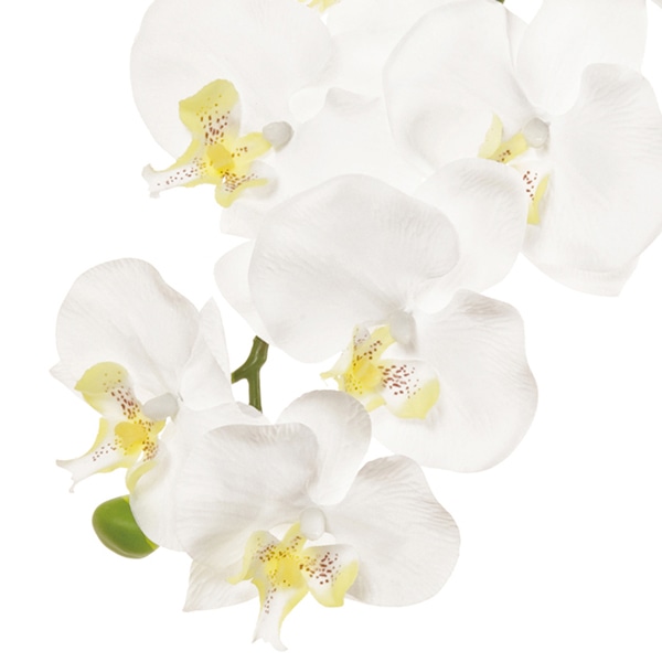 東京堂 造花 ピュアファレノプルミエール M FM5831 ホワイト 1本(ご注文単位1本)【直送品】