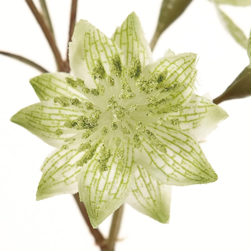 東京堂 造花 カレンアストランティア FM7670 ライトグリーン 1本(ご注文単位1本)【直送品】