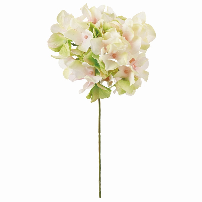 クリームピンクグリーン