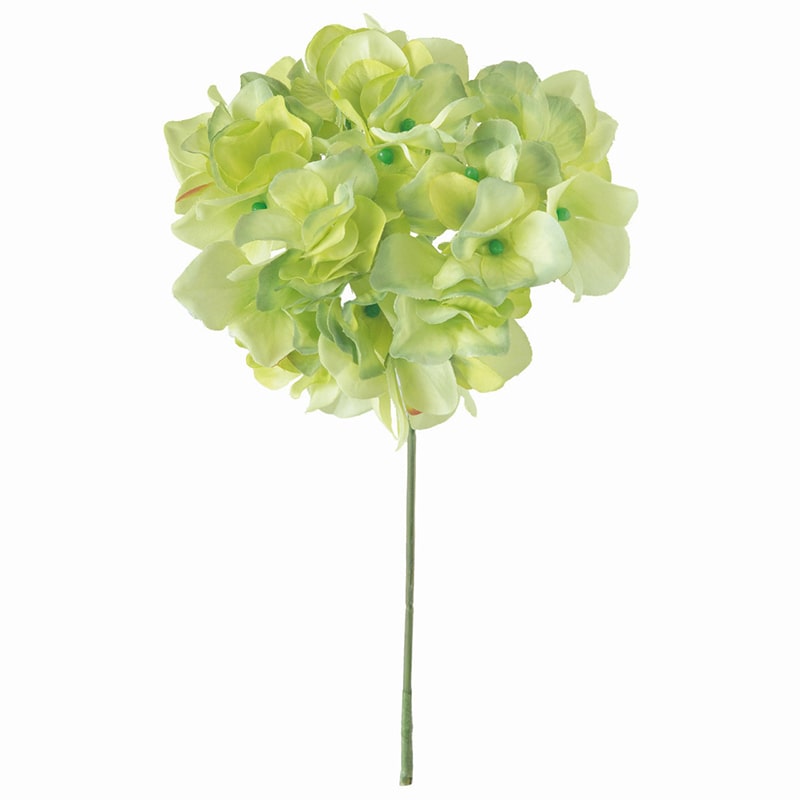 ライトグリーン