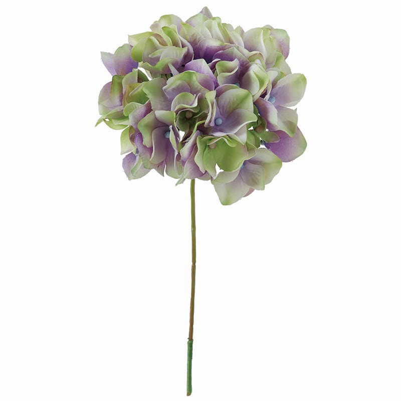 ラベンダーグリーン