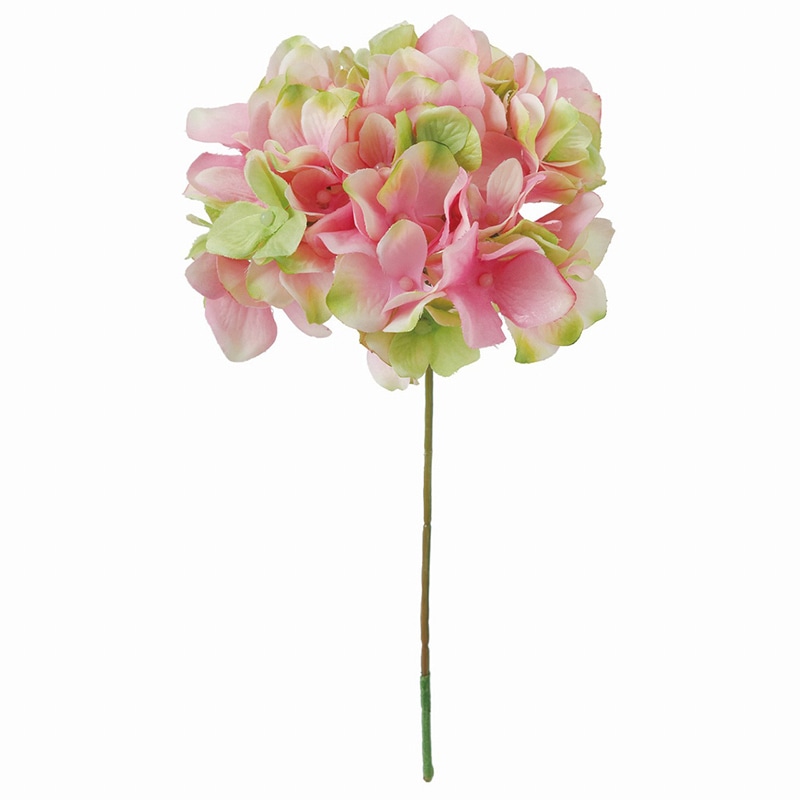 ピンクグリーン