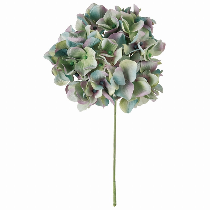 アクアグリーン