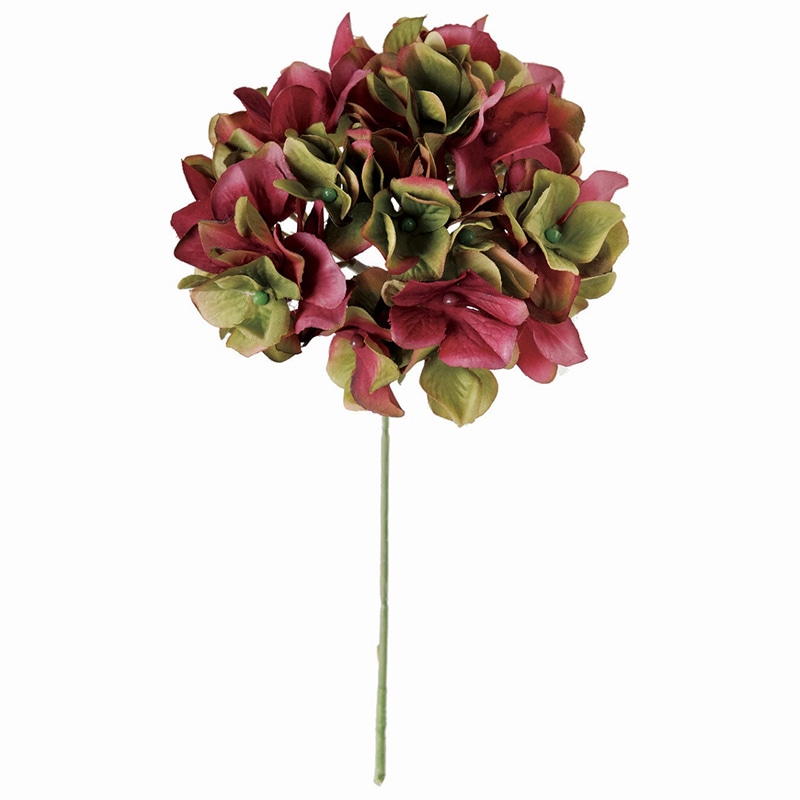 オーキッドグリーン