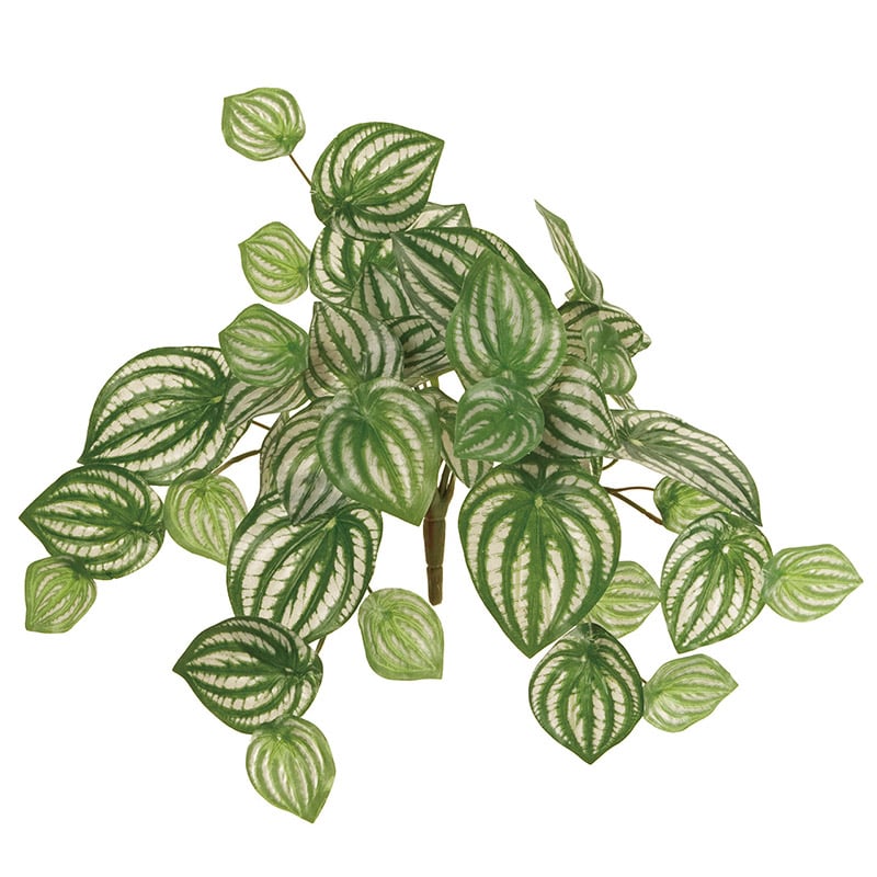 東京堂 造花　ペペロミアバイン FG8799 グリーン 1本（ご注文単位1本）【直送品】